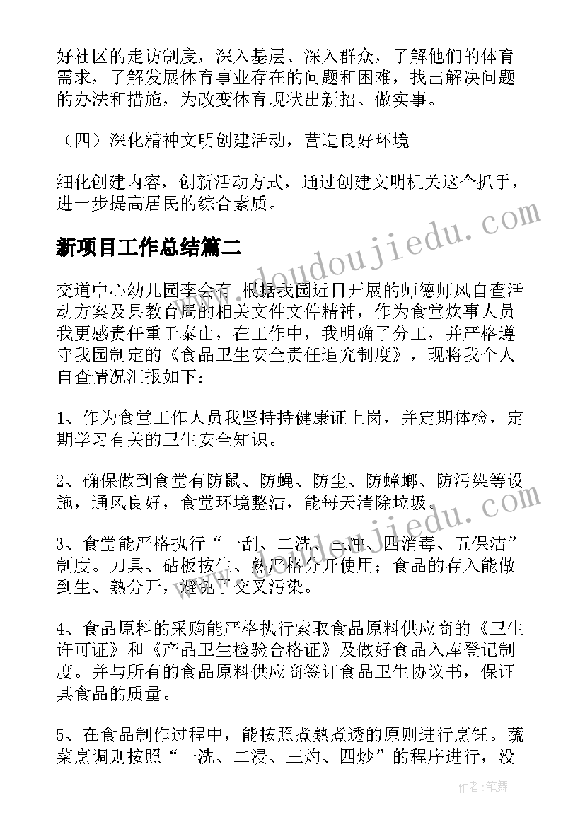 新项目工作总结 年度工作计划(优质6篇)