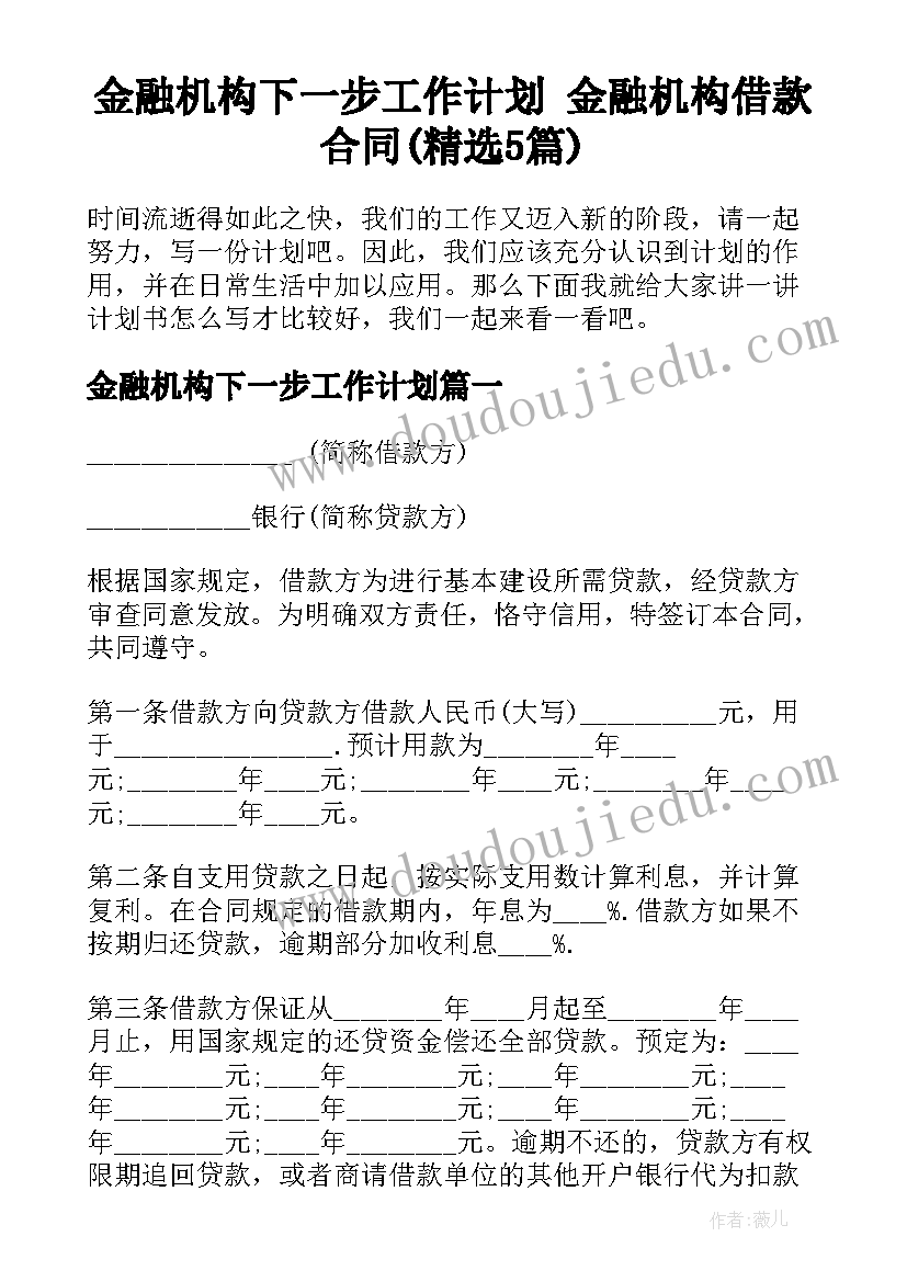 金融机构下一步工作计划 金融机构借款合同(精选5篇)