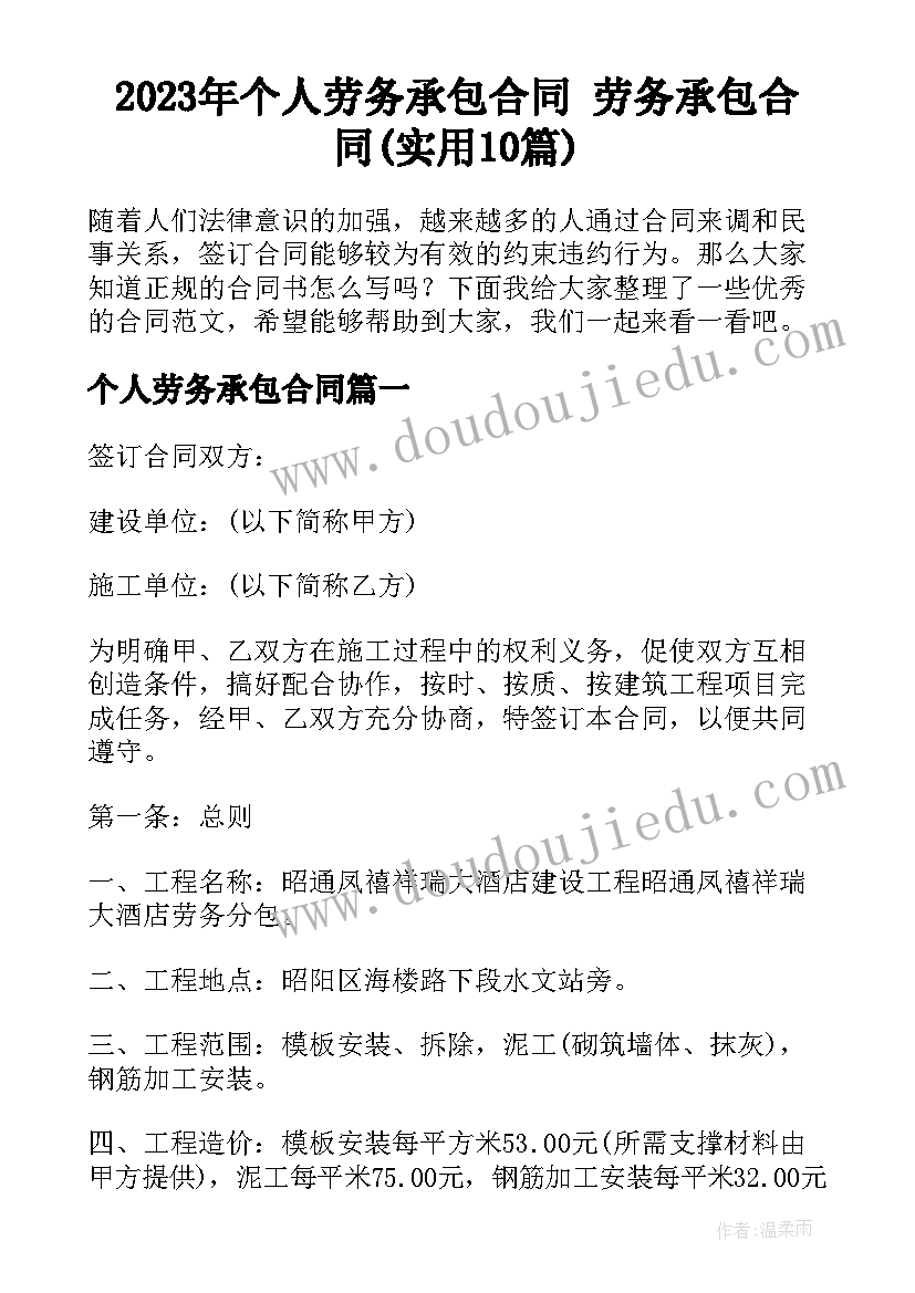 2023年个人劳务承包合同 劳务承包合同(实用10篇)