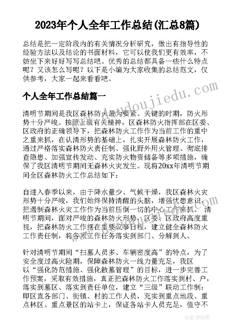 2023年个人全年工作总结(汇总8篇)