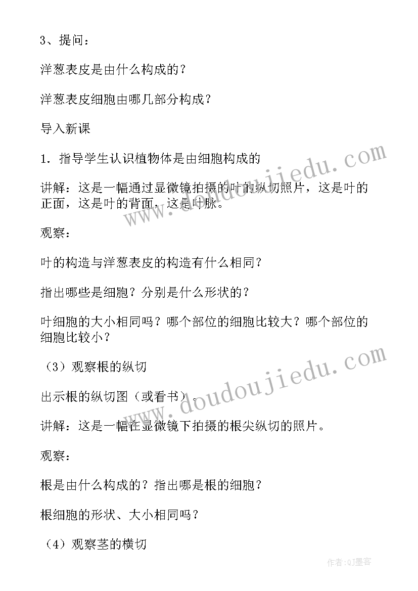 2023年健康细胞创建工作计划(模板5篇)