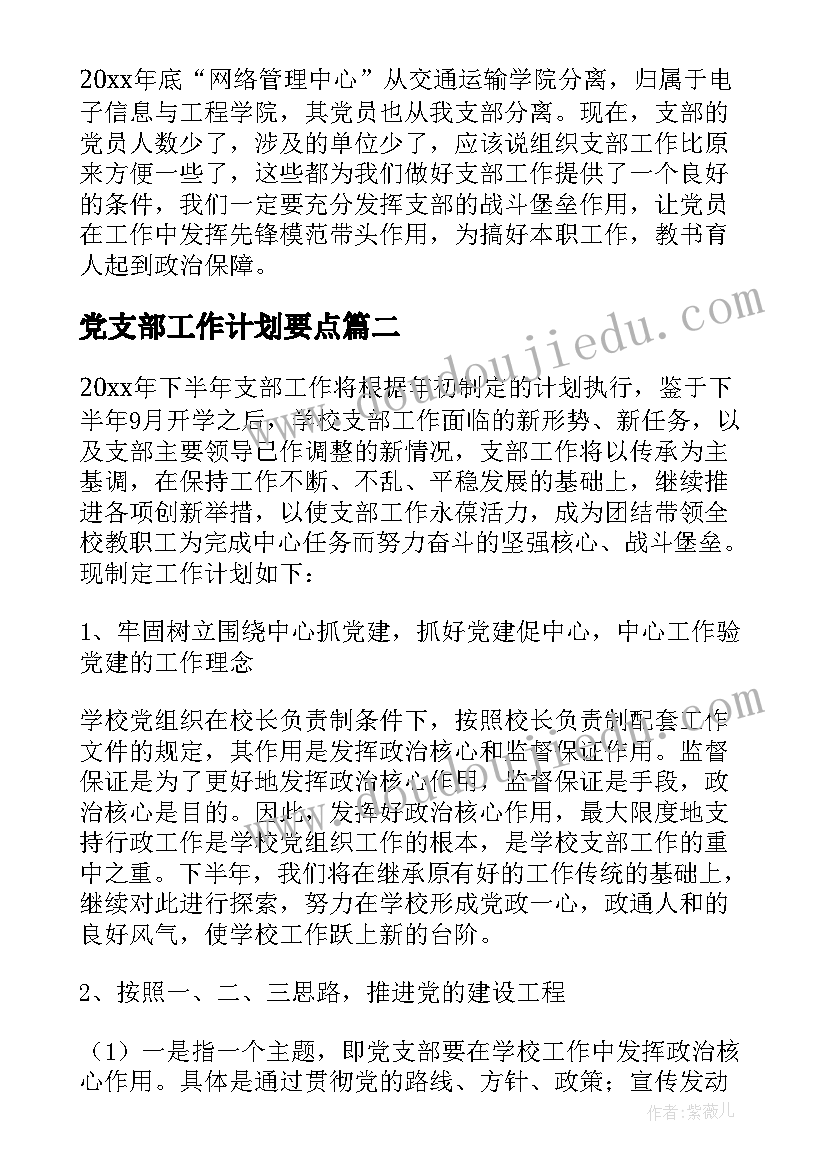 党支部工作计划要点 党支部工作计划(大全5篇)