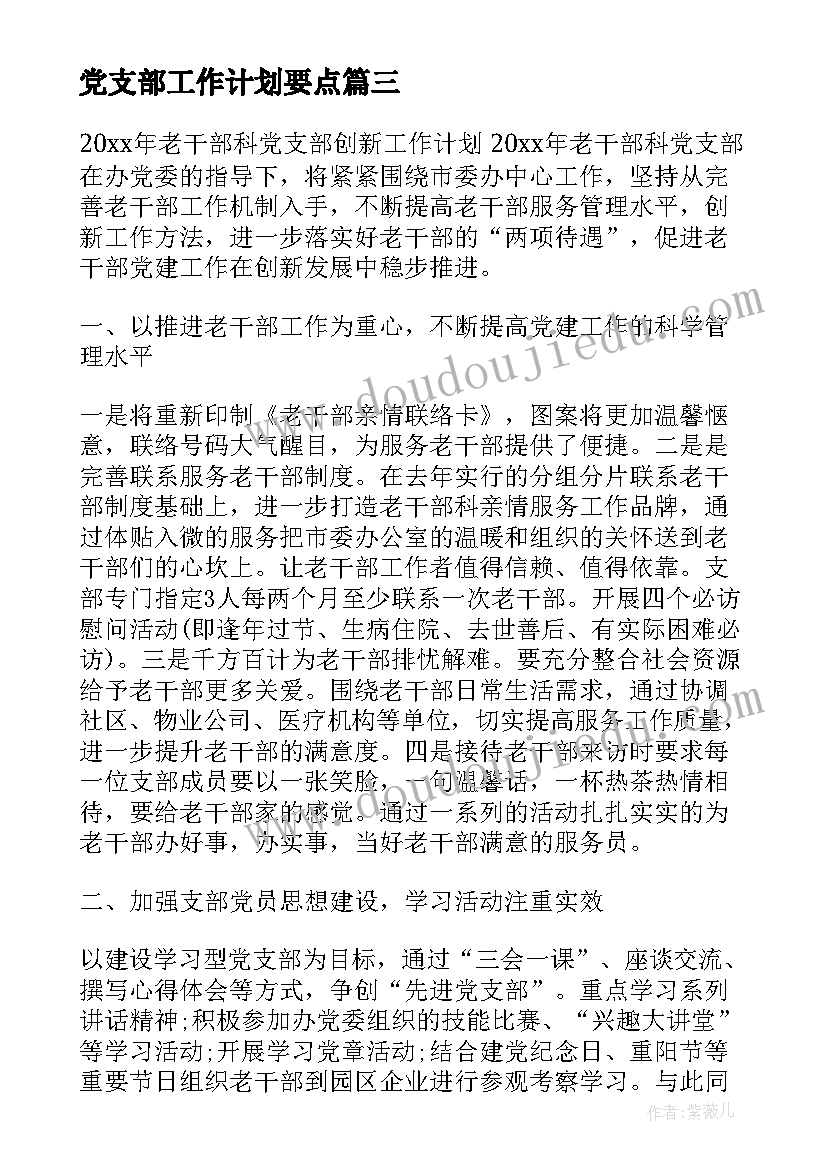 党支部工作计划要点 党支部工作计划(大全5篇)