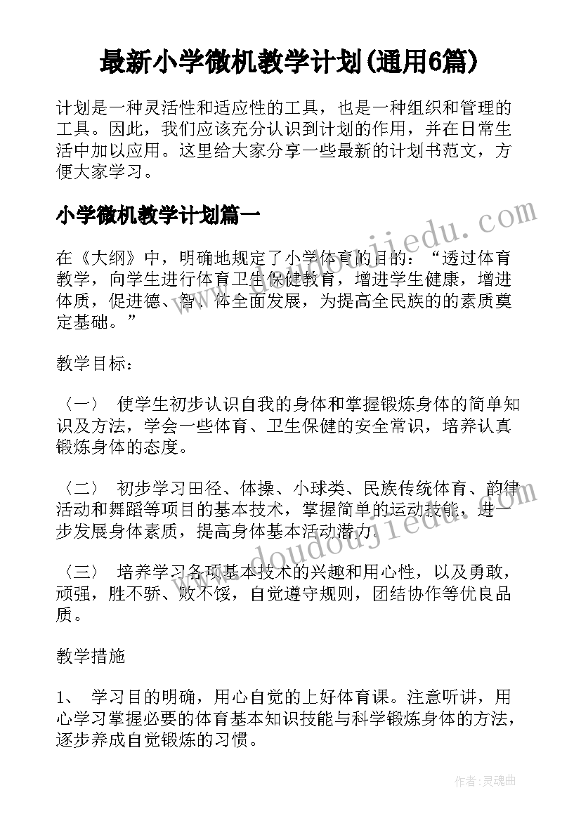 最新小学微机教学计划(通用6篇)