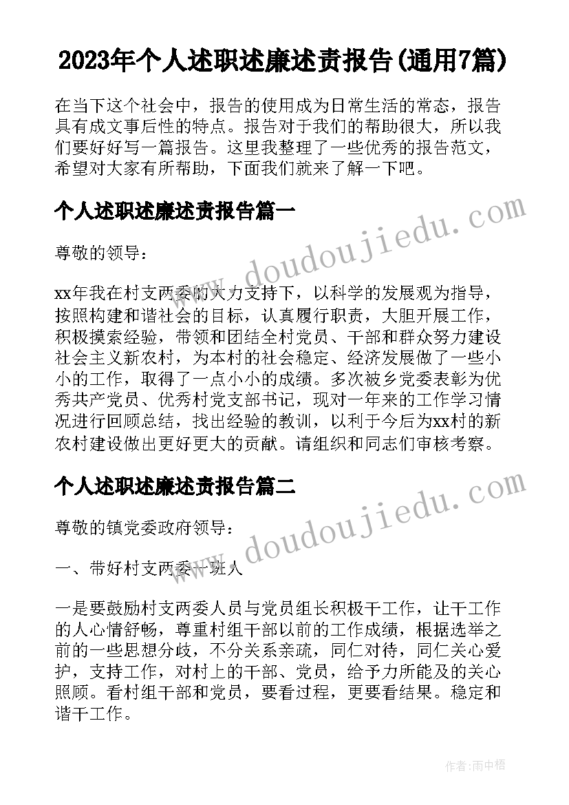 2023年个人述职述廉述责报告(通用7篇)