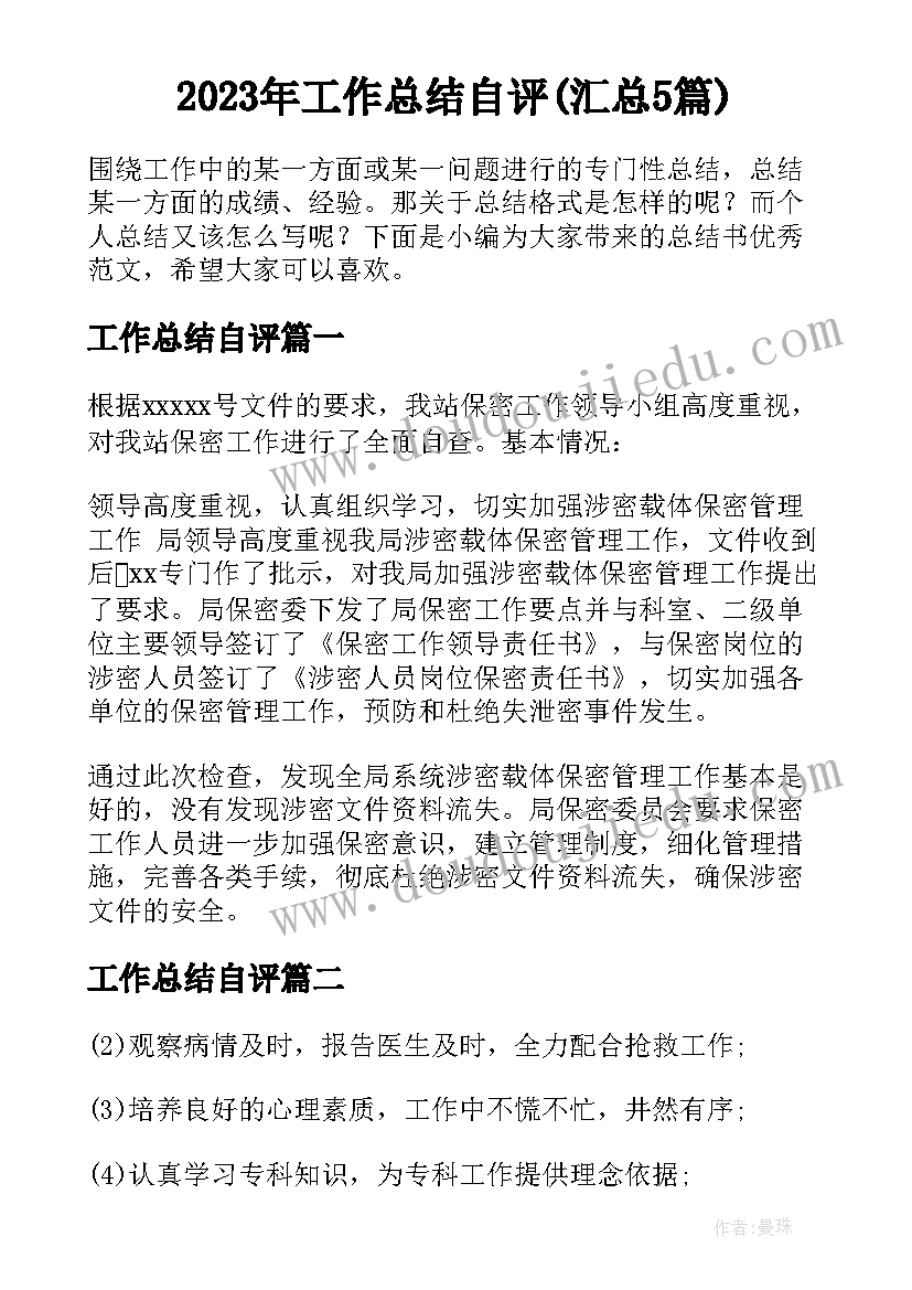 2023年工作总结自评(汇总5篇)