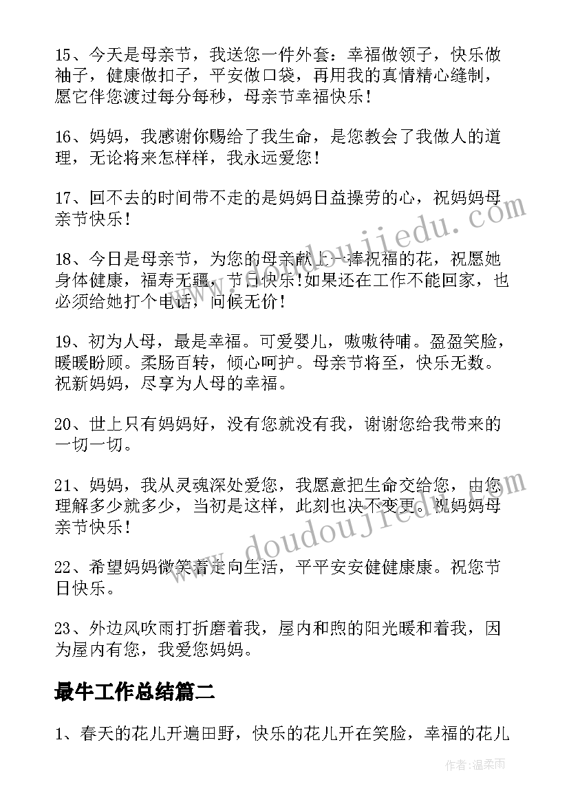 2023年最牛工作总结 最美的祝福语(汇总5篇)