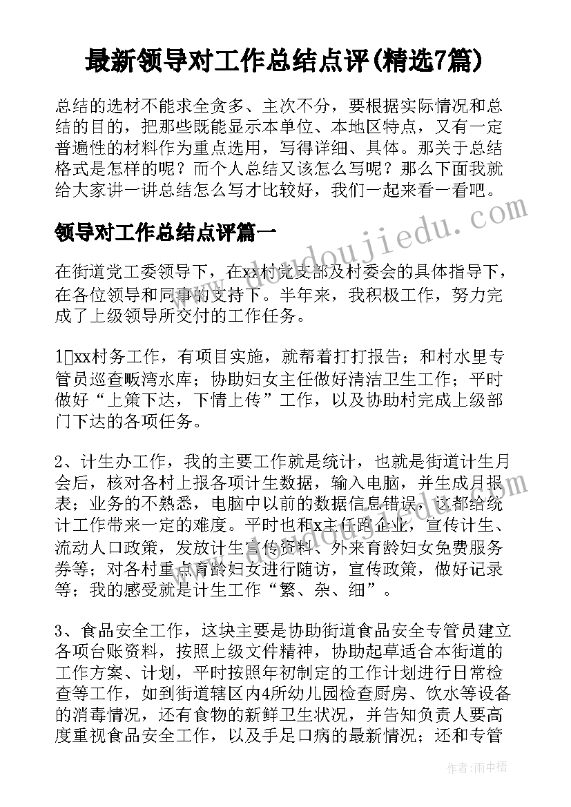 最新领导对工作总结点评(精选7篇)