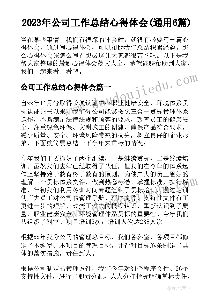 2023年公司工作总结心得体会(通用6篇)