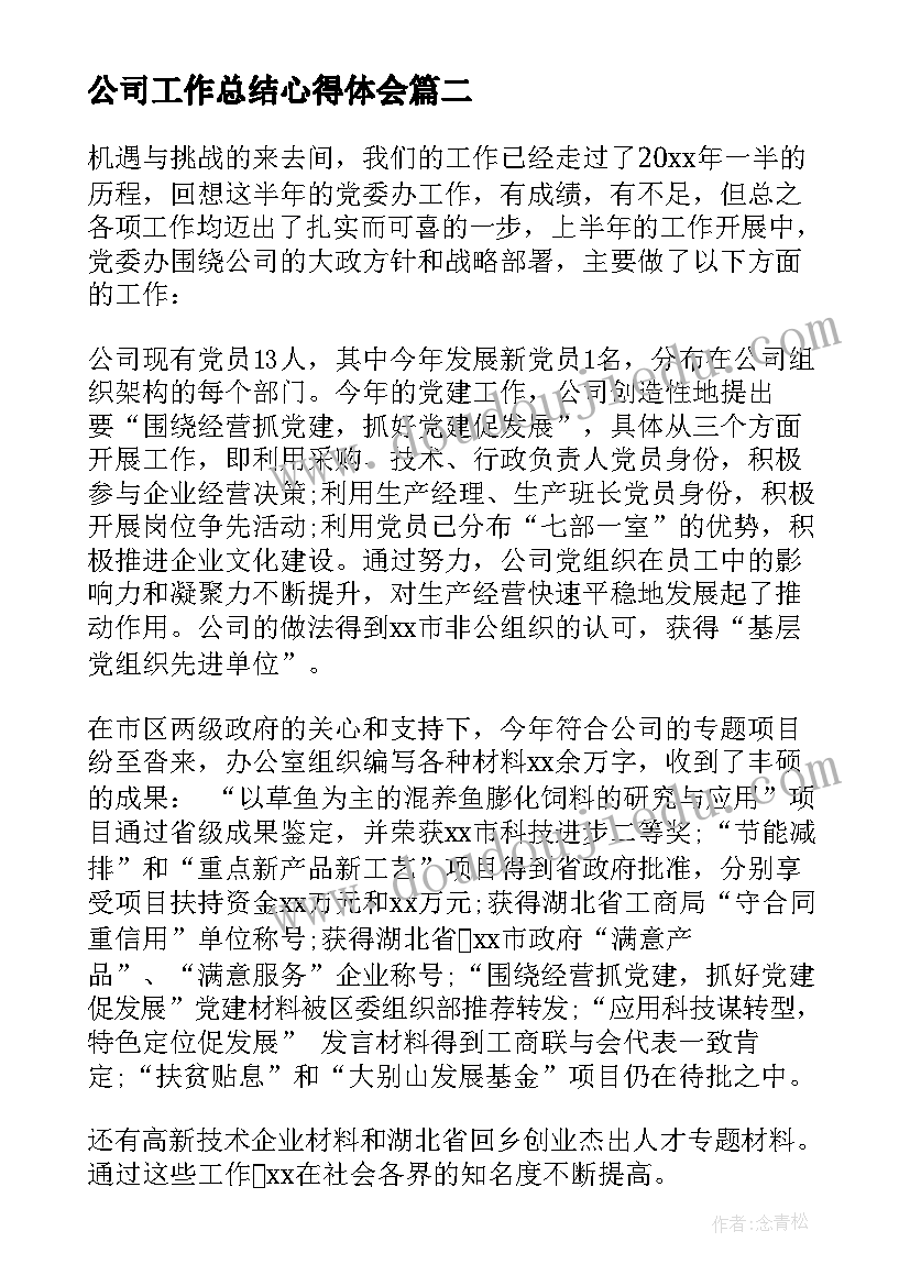 2023年公司工作总结心得体会(通用6篇)