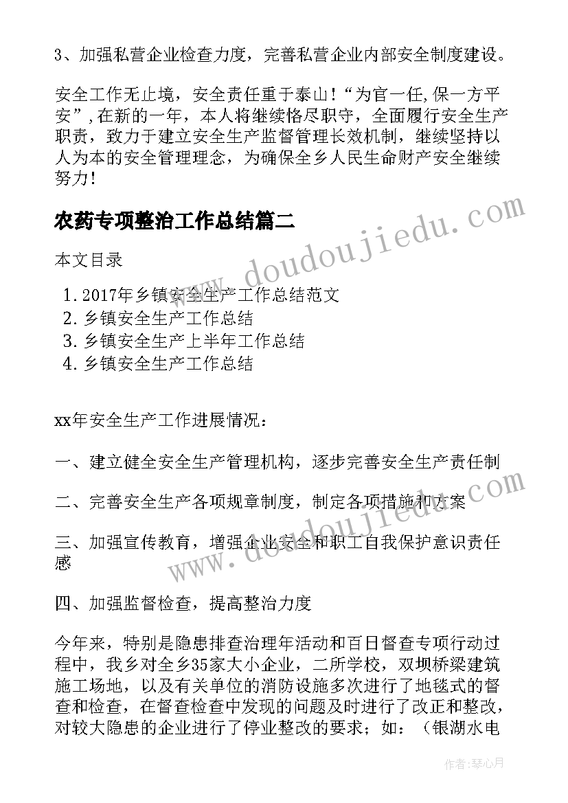 最新农药专项整治工作总结 乡镇安全生产工作总结(大全7篇)