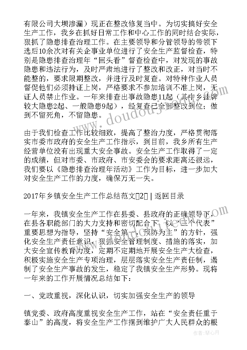 最新农药专项整治工作总结 乡镇安全生产工作总结(大全7篇)