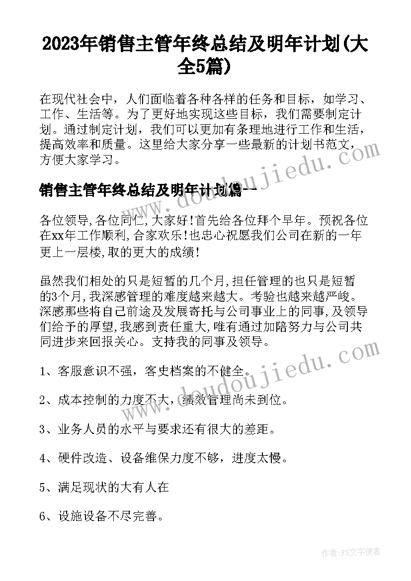 2023年销售主管年终总结及明年计划(大全5篇)