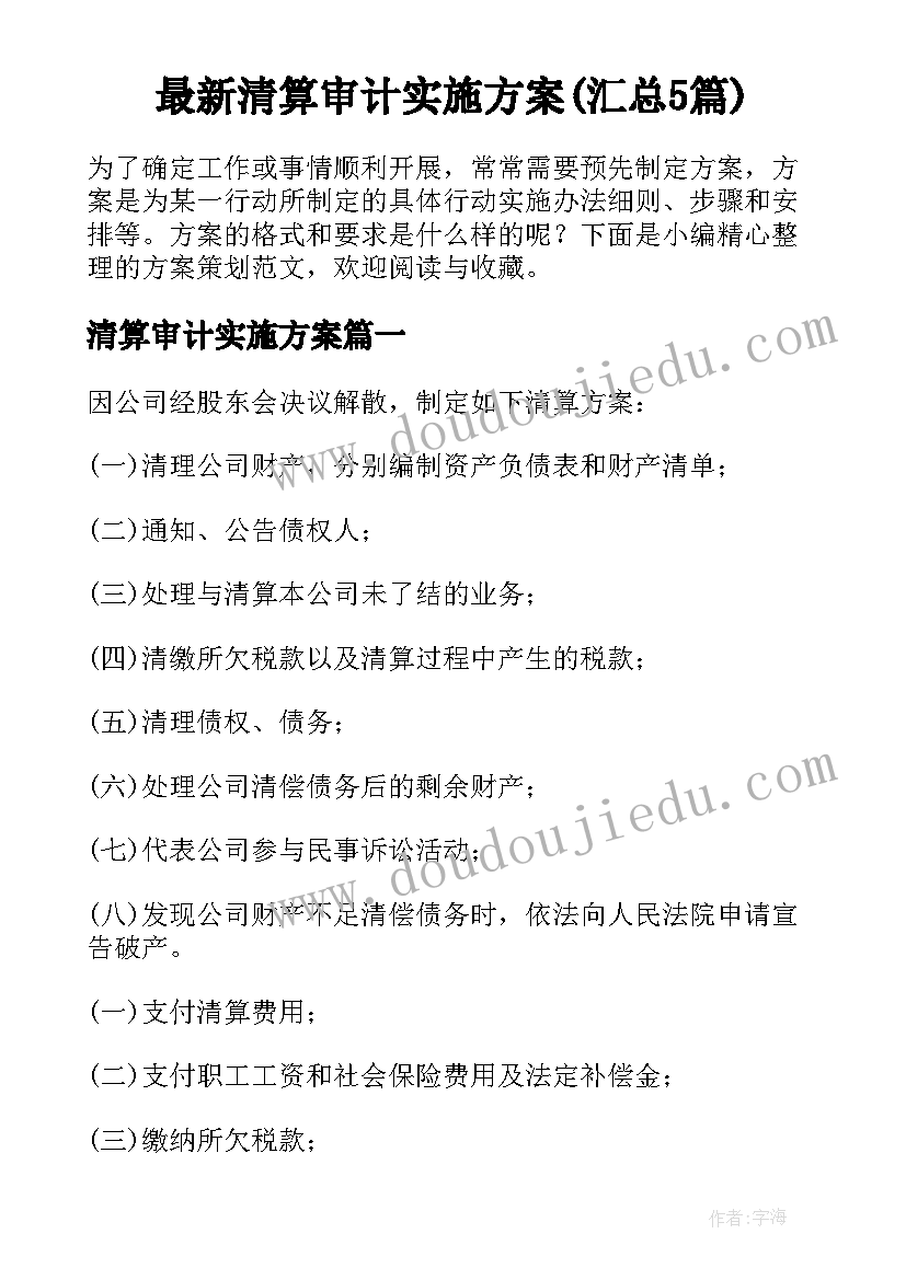 最新清算审计实施方案(汇总5篇)