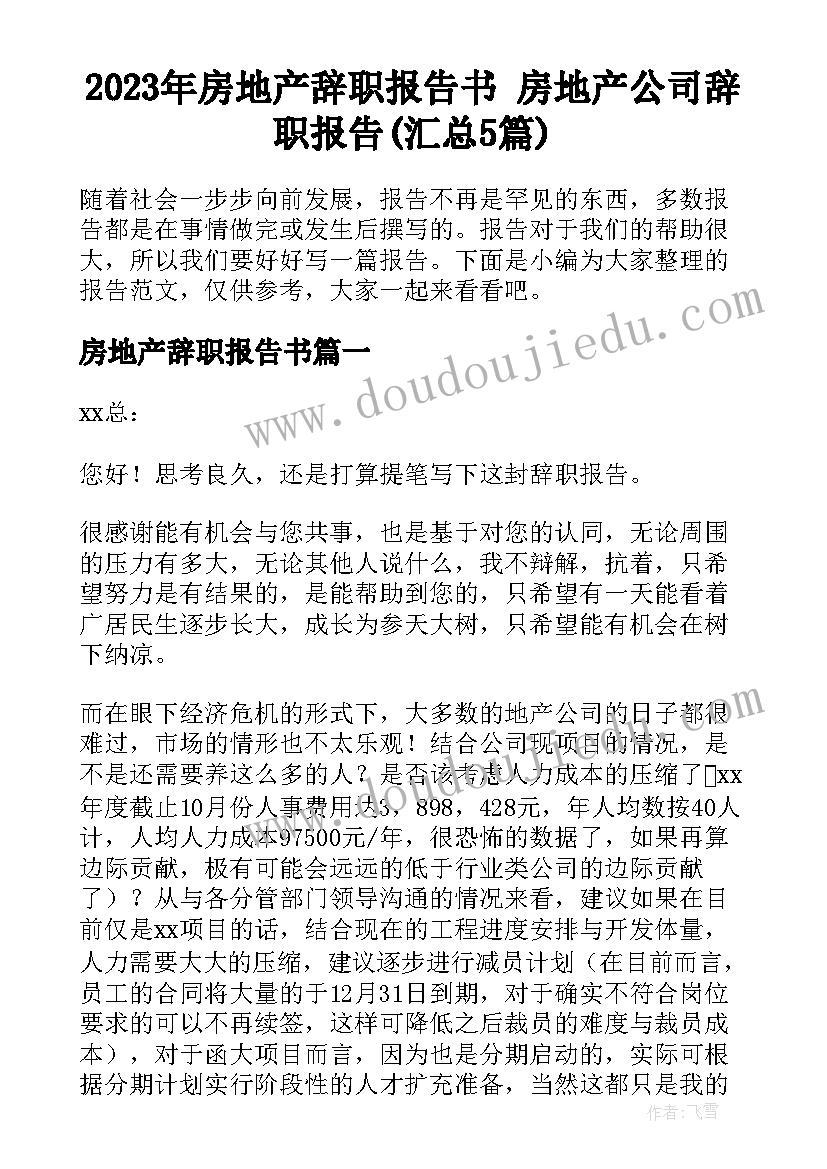 2023年房地产辞职报告书 房地产公司辞职报告(汇总5篇)