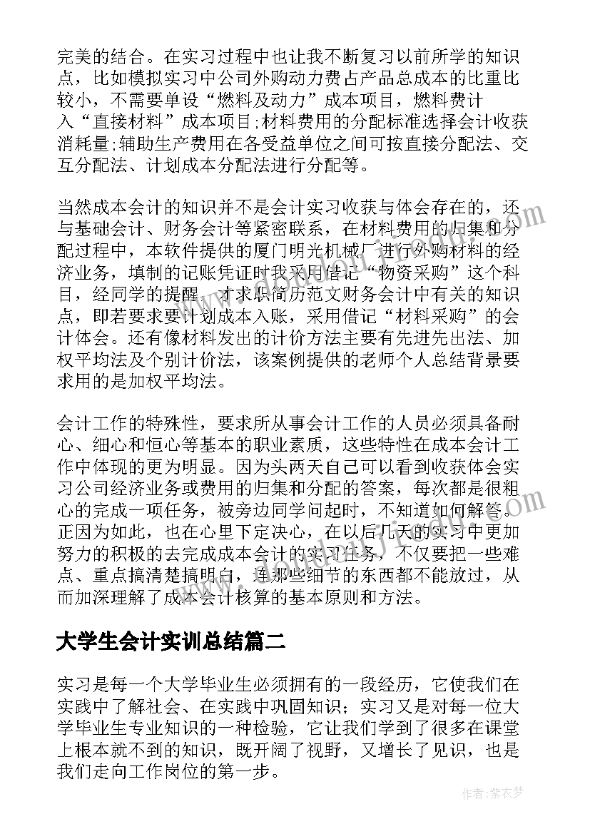 2023年大学生会计实训总结(优秀7篇)