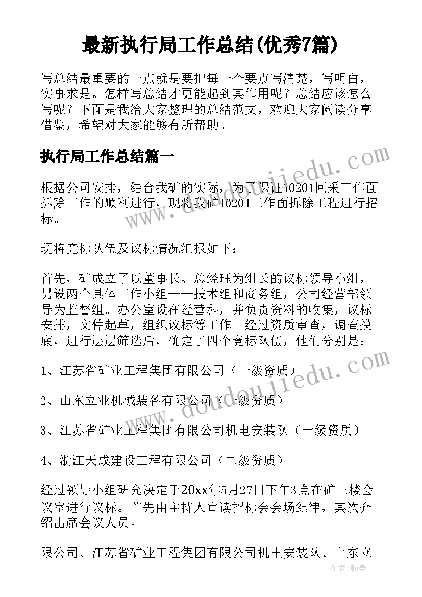 最新执行局工作总结(优秀7篇)