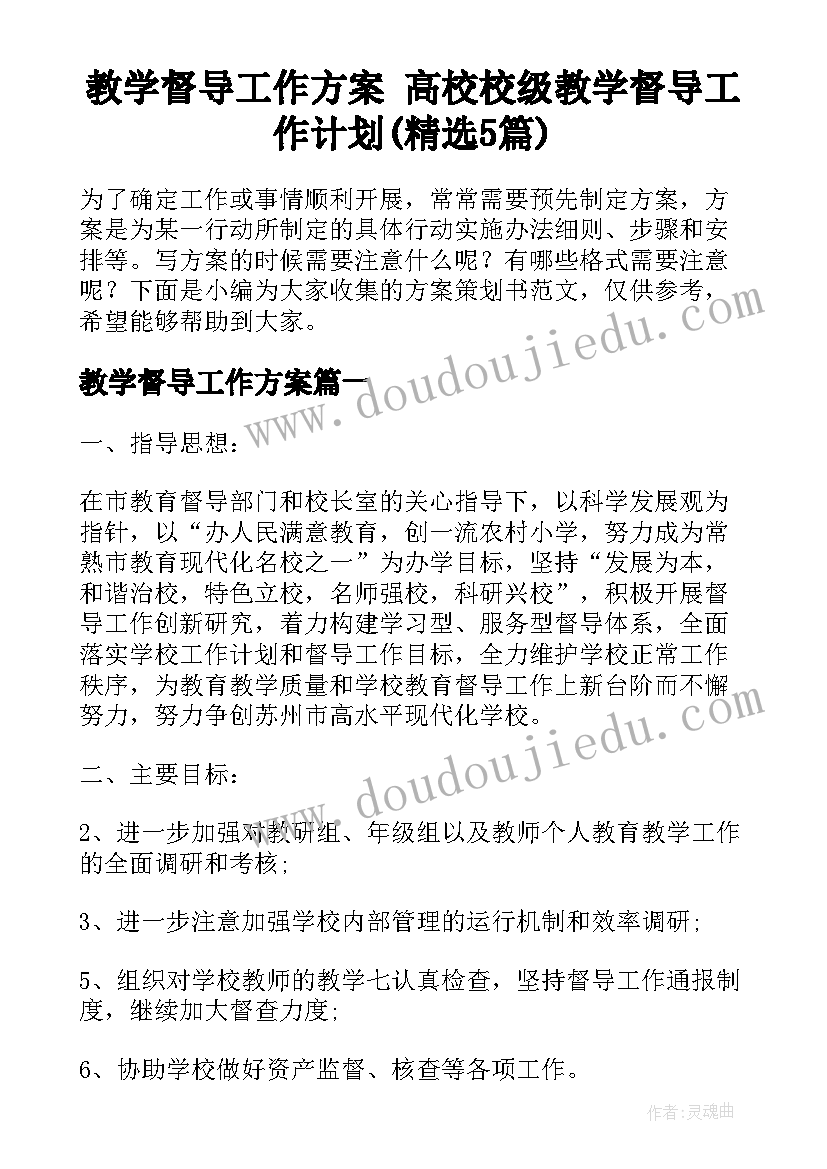 教学督导工作方案 高校校级教学督导工作计划(精选5篇)