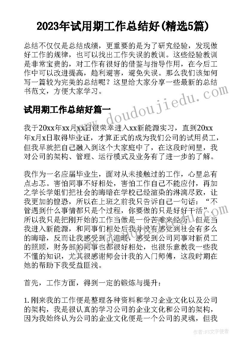 2023年试用期工作总结好(精选5篇)