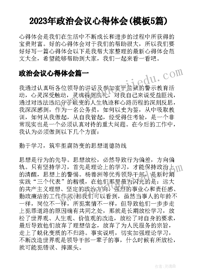 2023年政治会议心得体会(模板5篇)