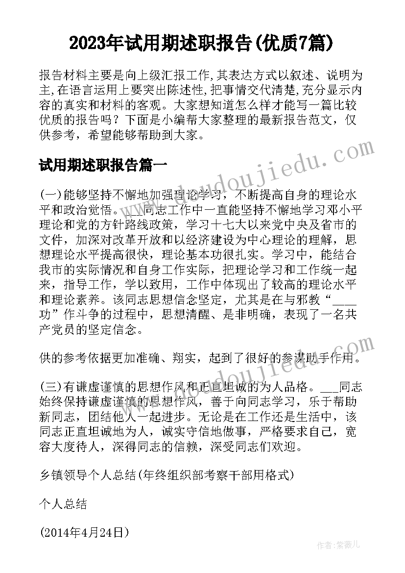 2023年试用期述职报告(优质7篇)