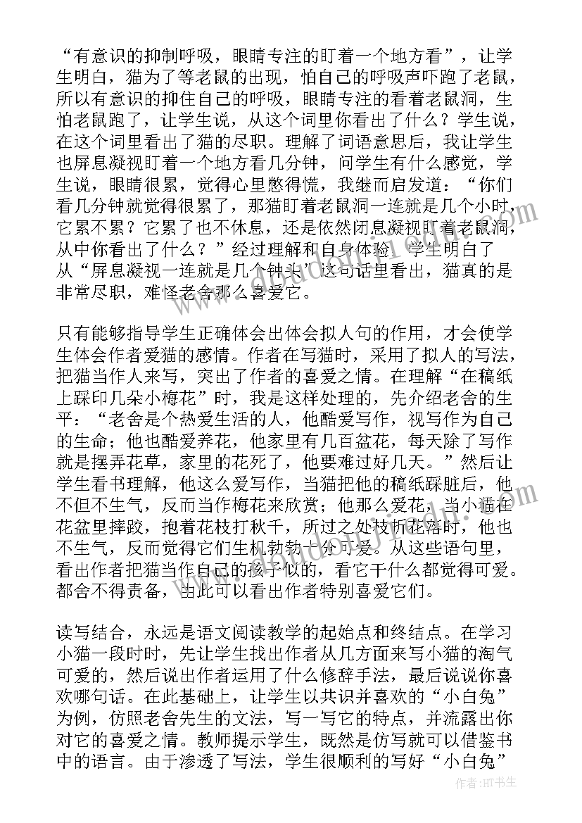 2023年四年级母鸡教学反思 四年级猫教学反思(优秀5篇)