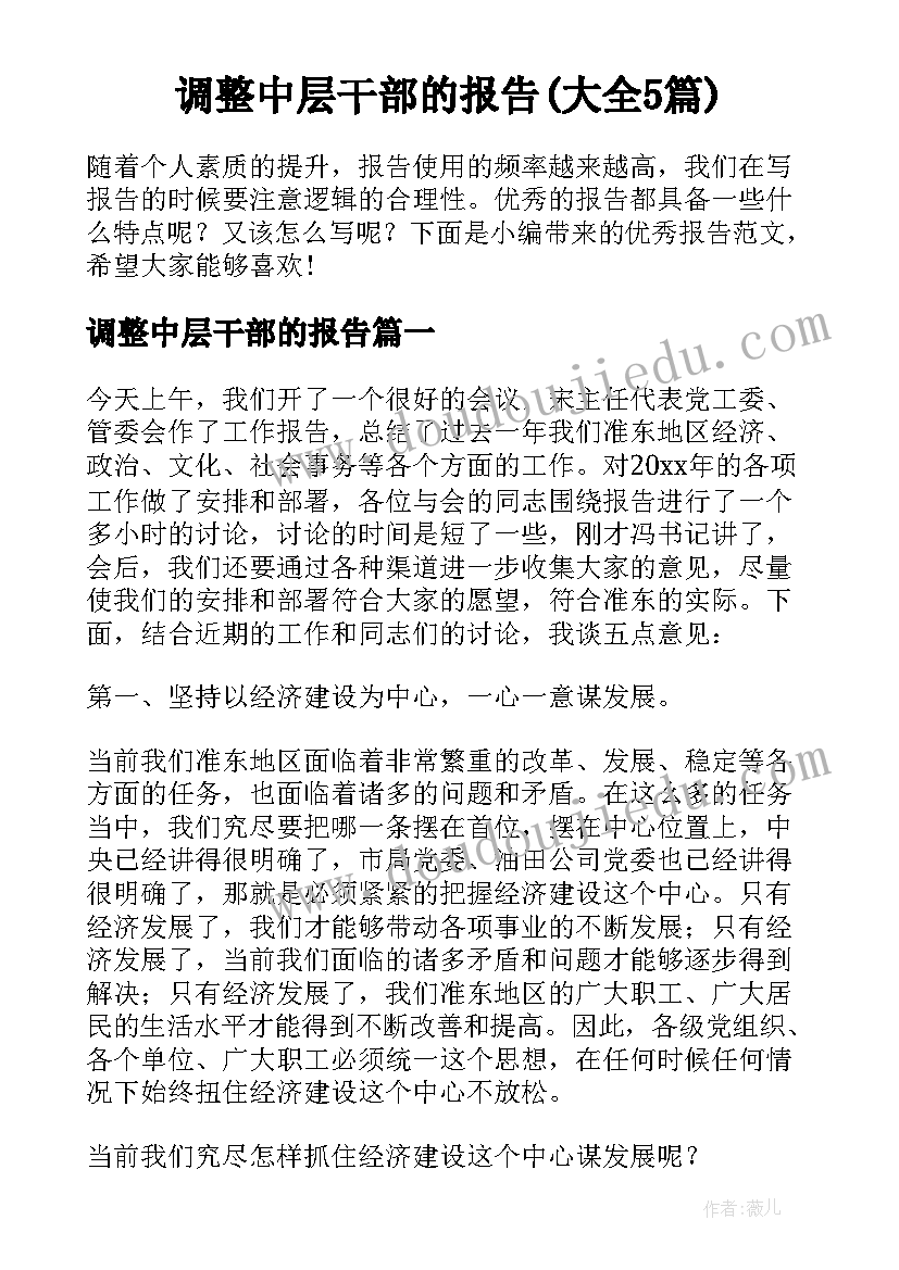 调整中层干部的报告(大全5篇)