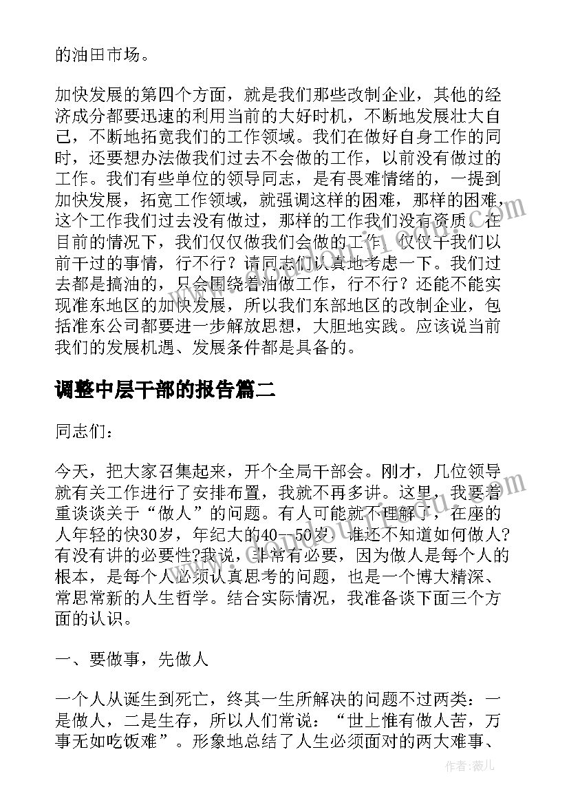 调整中层干部的报告(大全5篇)