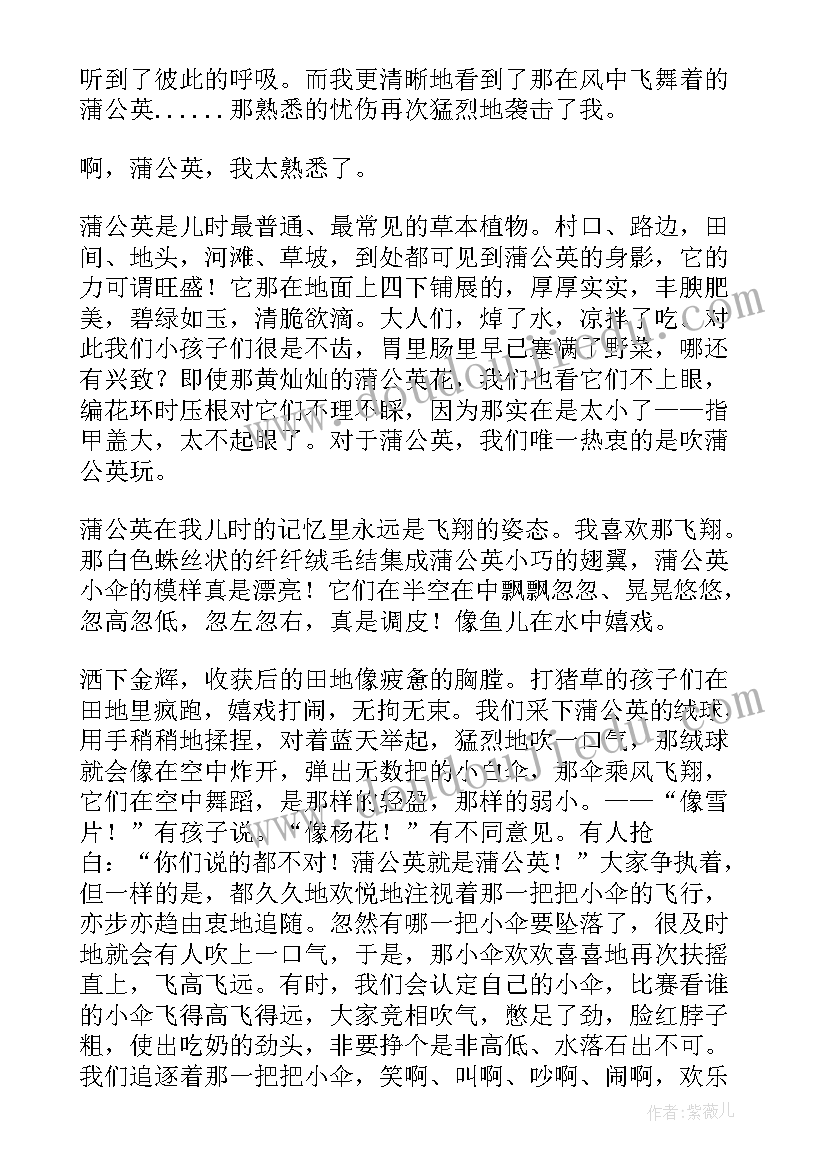 2023年蒲公英的散文诗(实用8篇)