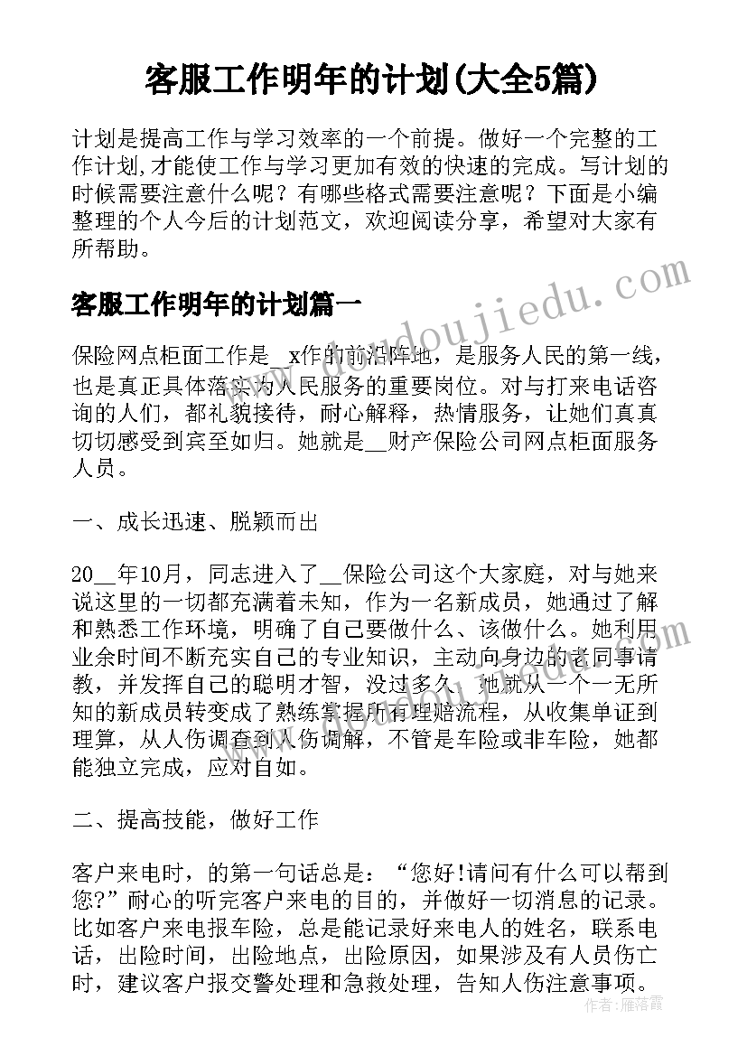 客服工作明年的计划(大全5篇)