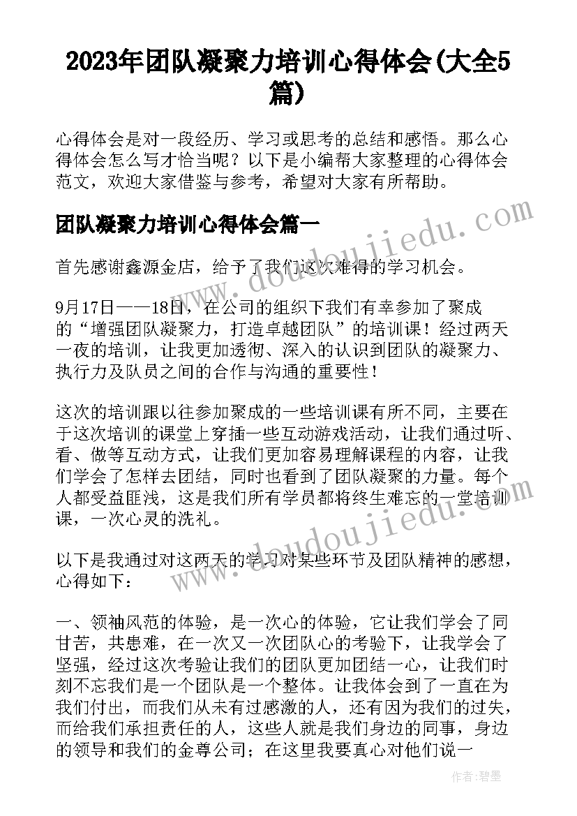 2023年团队凝聚力培训心得体会(大全5篇)