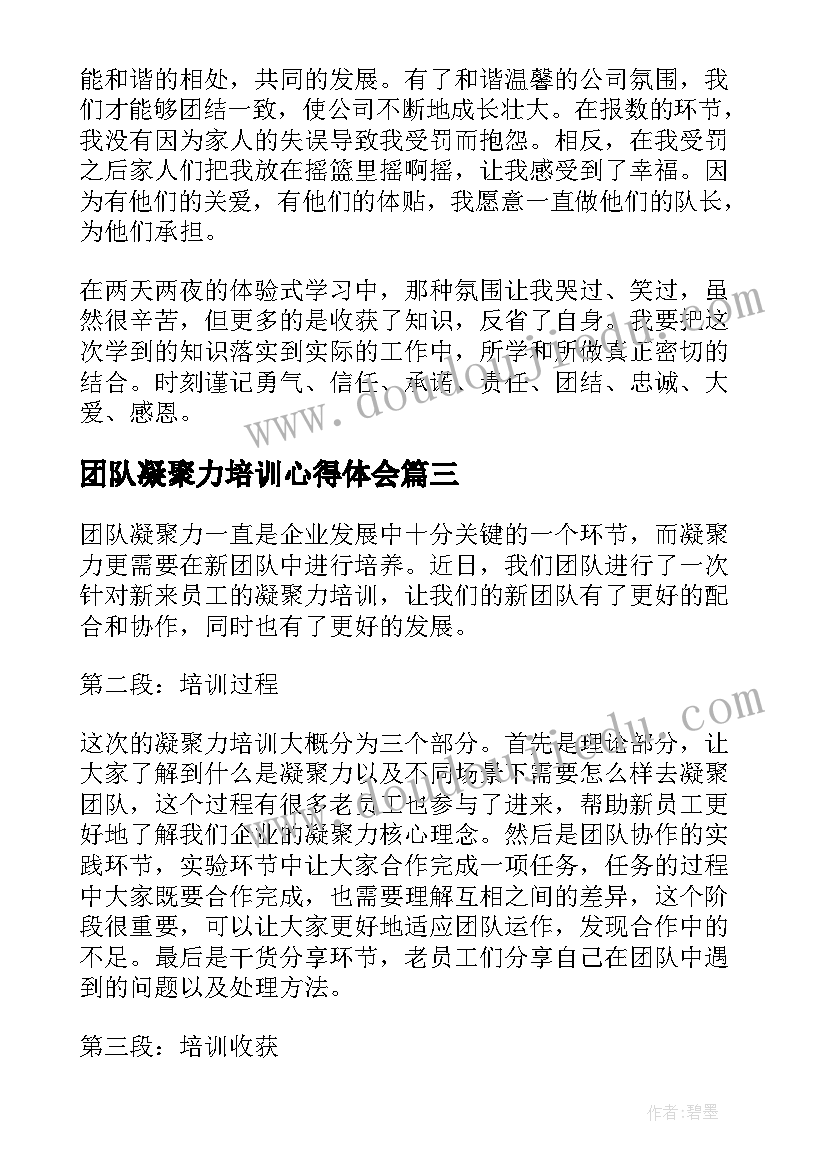 2023年团队凝聚力培训心得体会(大全5篇)