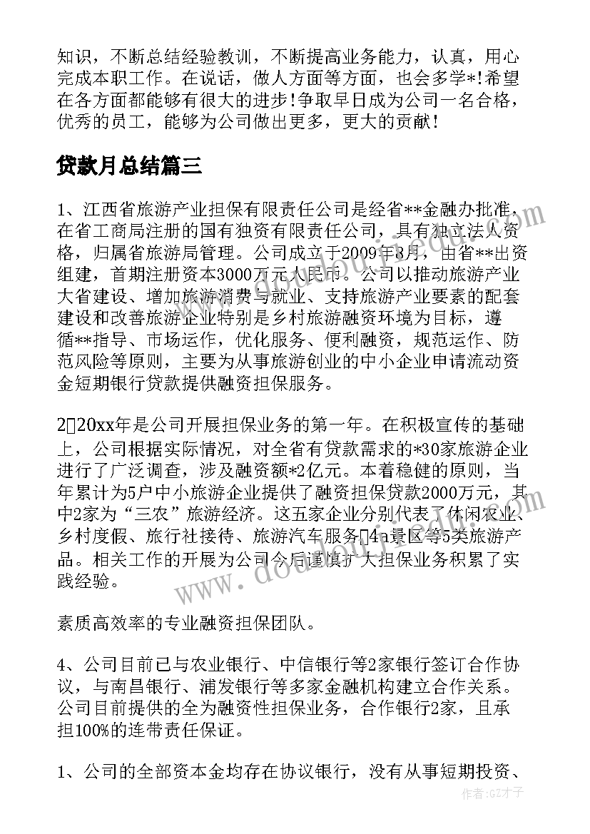 最新贷款月总结(精选5篇)