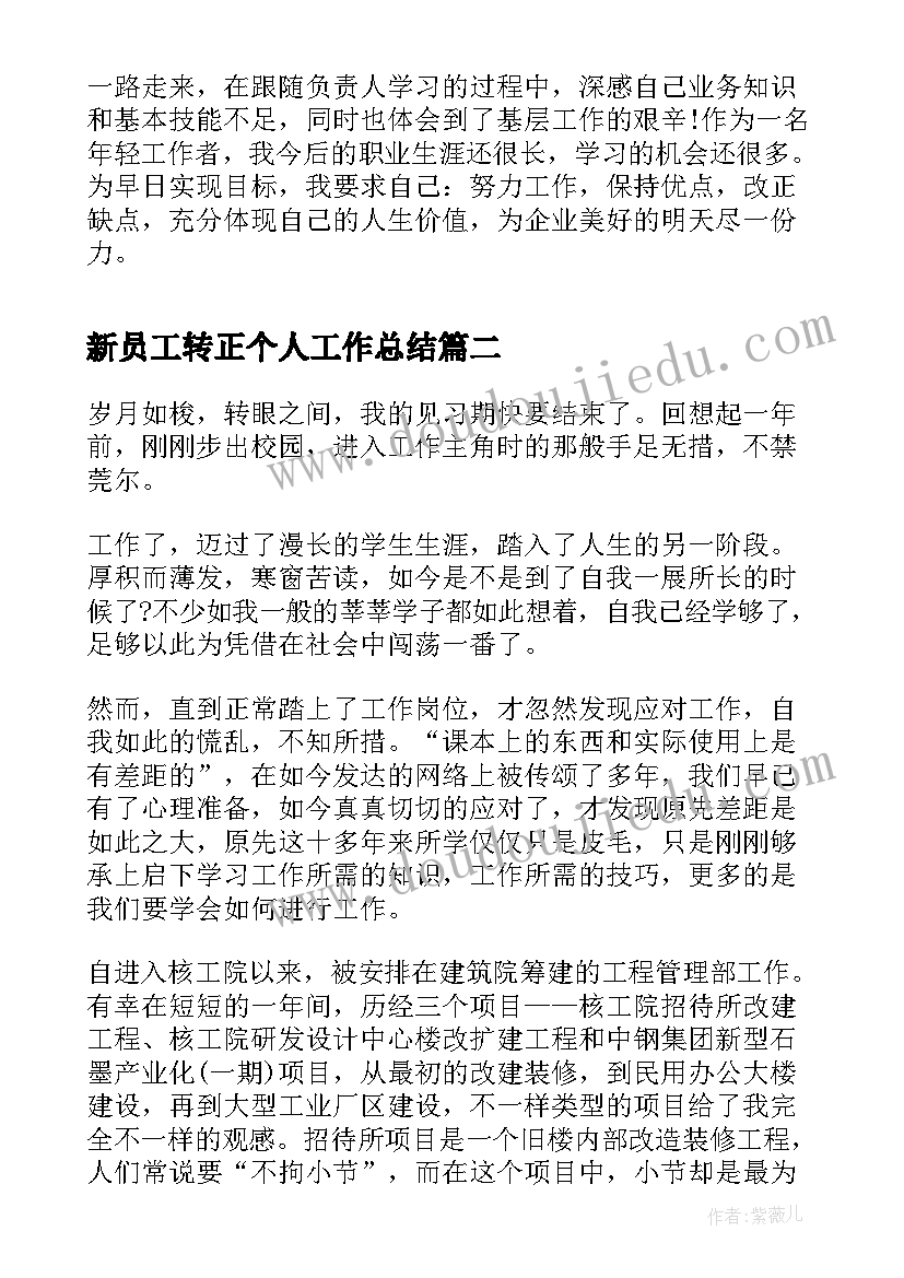 最新新员工转正个人工作总结(优质8篇)