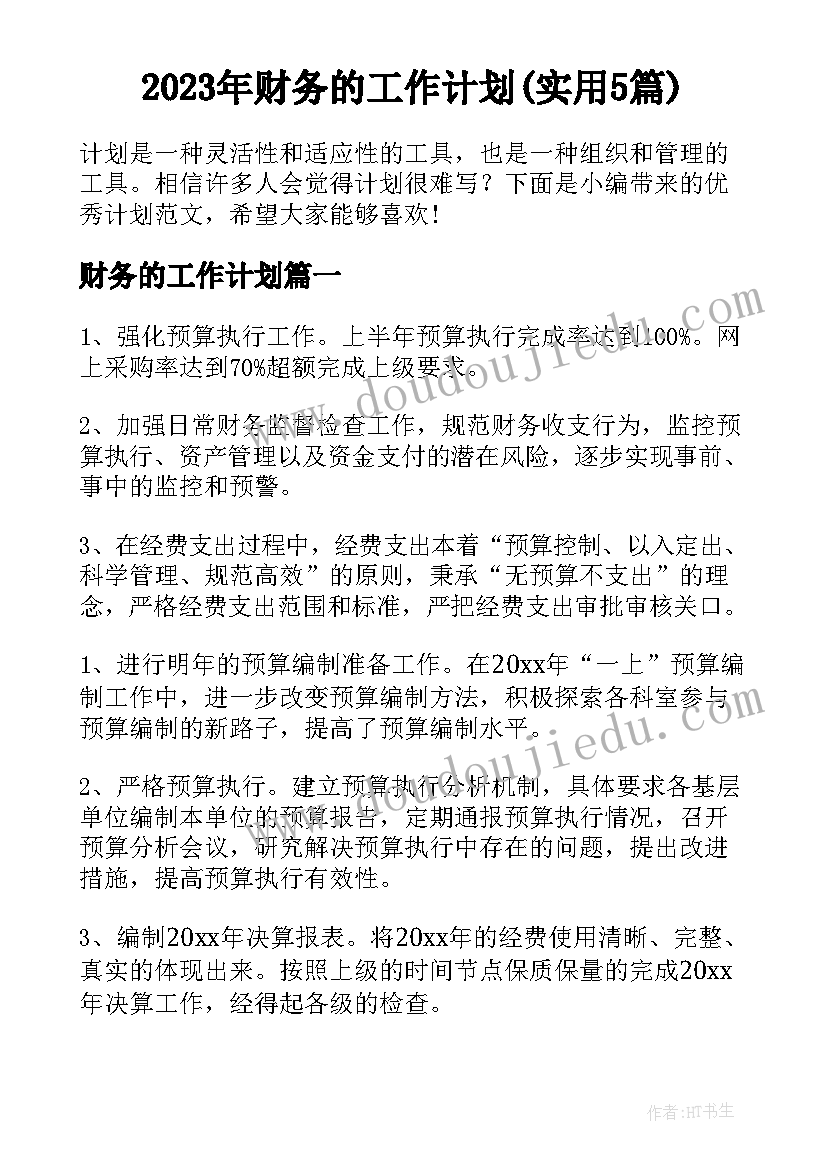 2023年财务的工作计划(实用5篇)