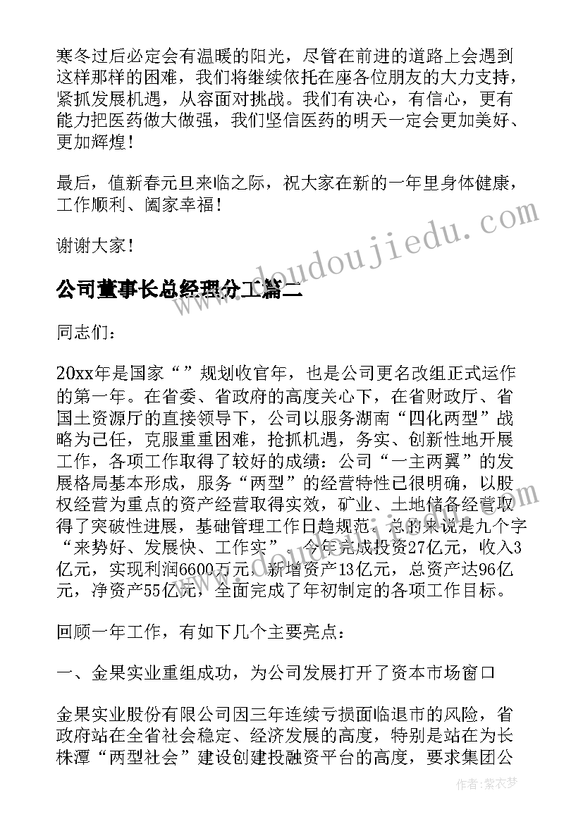 公司董事长总经理分工 公司董事长总结讲话材料(汇总10篇)