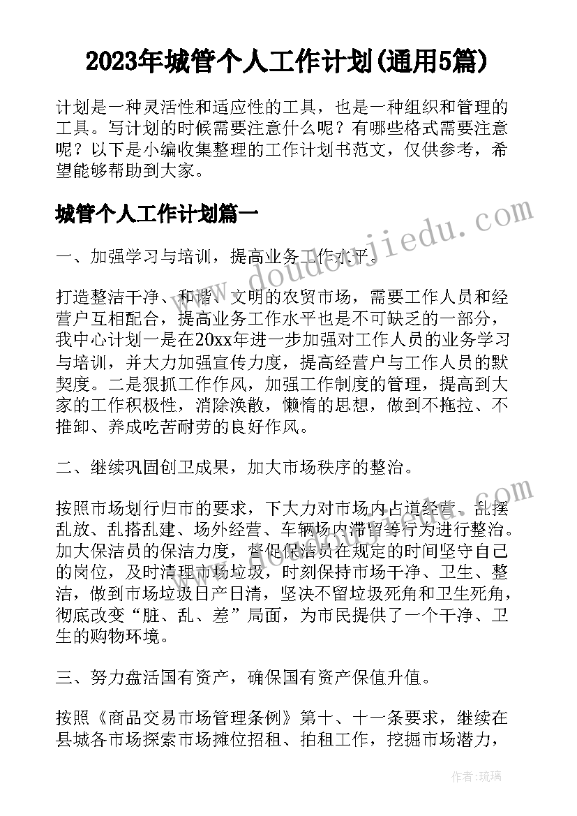 2023年城管个人工作计划(通用5篇)