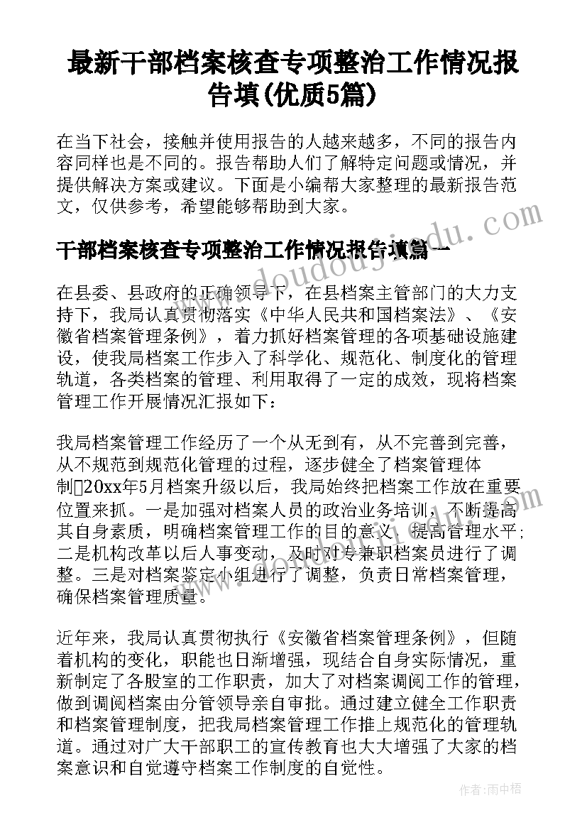 最新干部档案核查专项整治工作情况报告填(优质5篇)