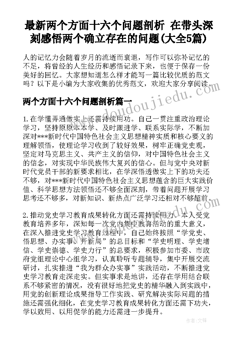 最新两个方面十六个问题剖析 在带头深刻感悟两个确立存在的问题(大全5篇)