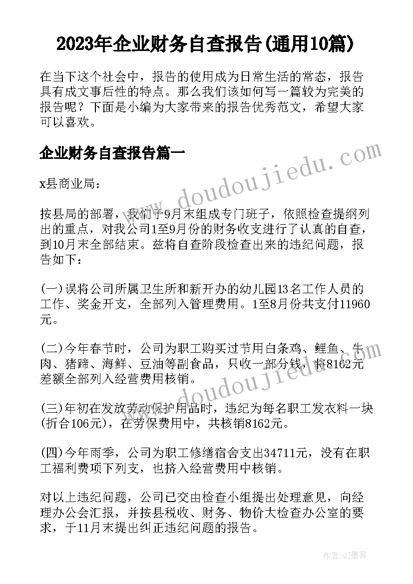 2023年企业财务自查报告(通用10篇)