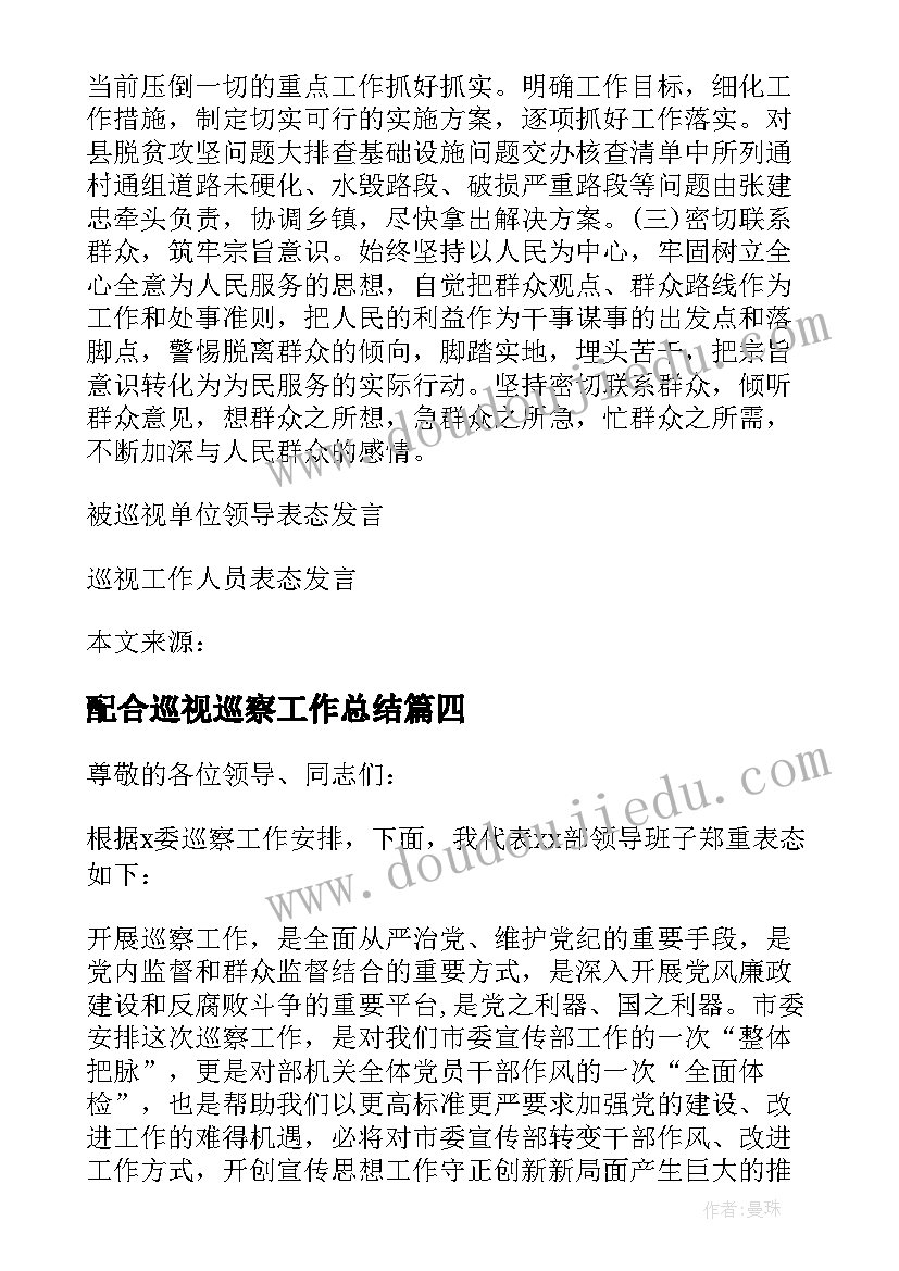 配合巡视巡察工作总结(精选5篇)