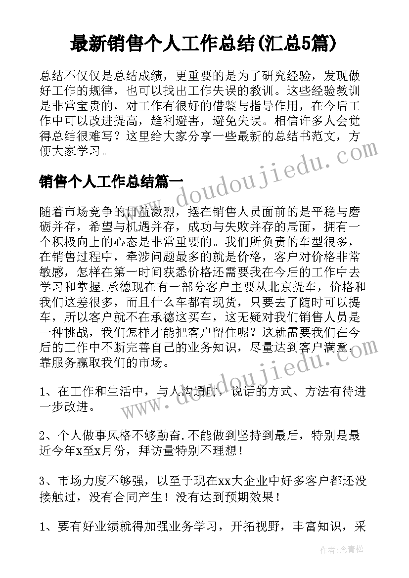 最新销售个人工作总结(汇总5篇)