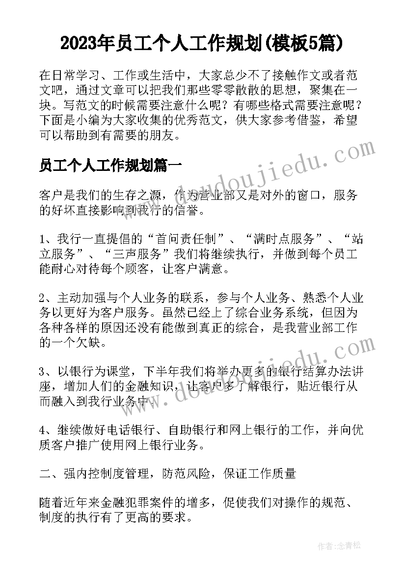 2023年员工个人工作规划(模板5篇)