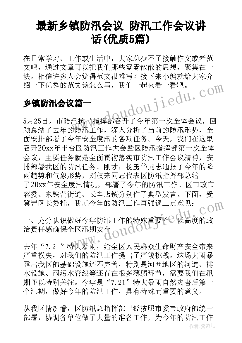 最新乡镇防汛会议 防汛工作会议讲话(优质5篇)