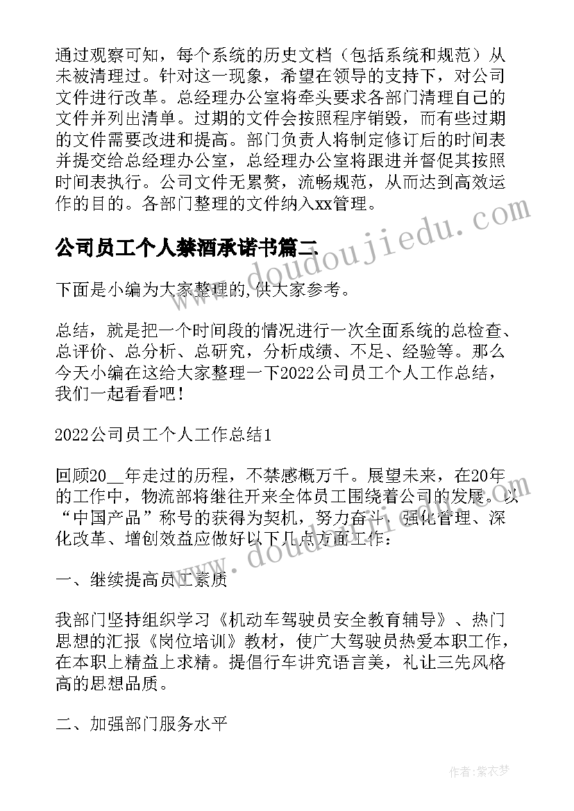 最新公司员工个人禁酒承诺书 公司员工个人工作总结(通用6篇)