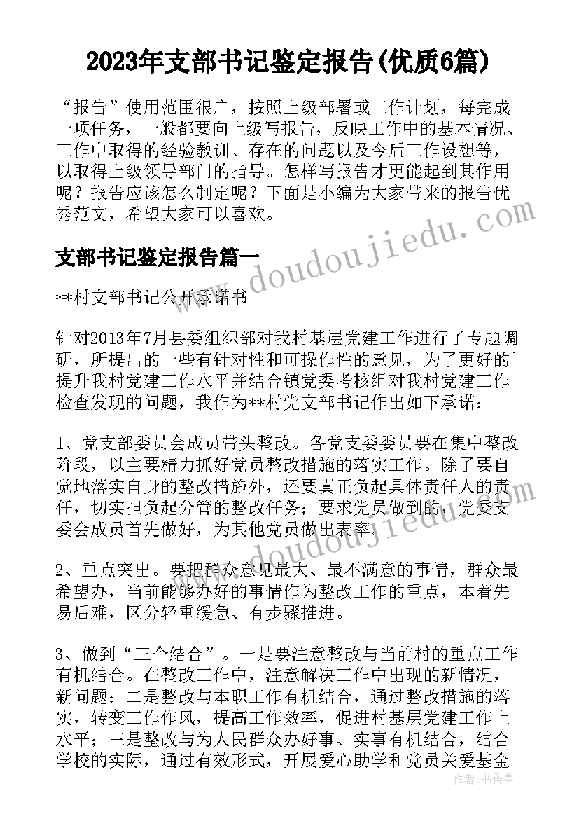 2023年支部书记鉴定报告(优质6篇)