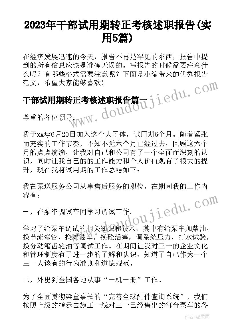 2023年干部试用期转正考核述职报告(实用5篇)