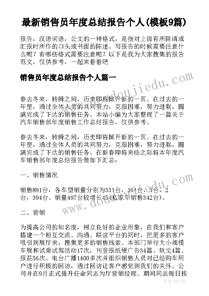 最新销售员年度总结报告个人(模板9篇)