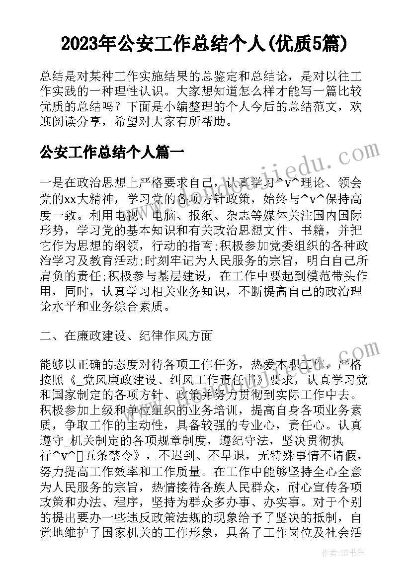 2023年公安工作总结个人(优质5篇)