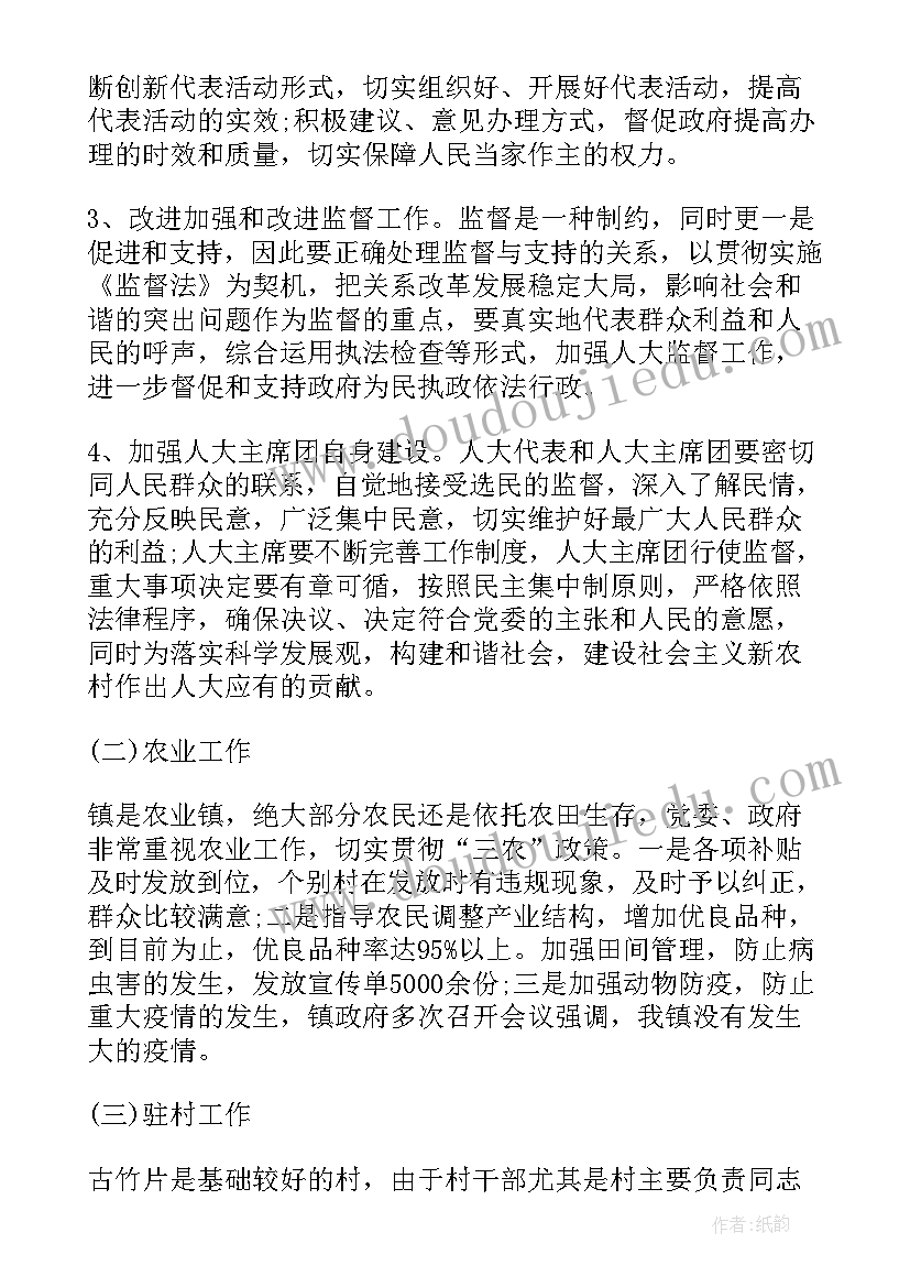 2023年镇级人大个人述职报告(优质6篇)